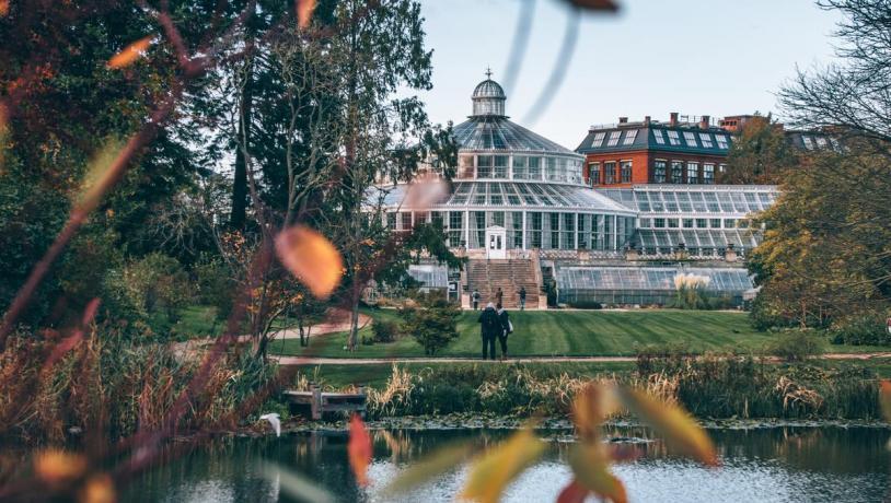 Botanical Garden, Autumn