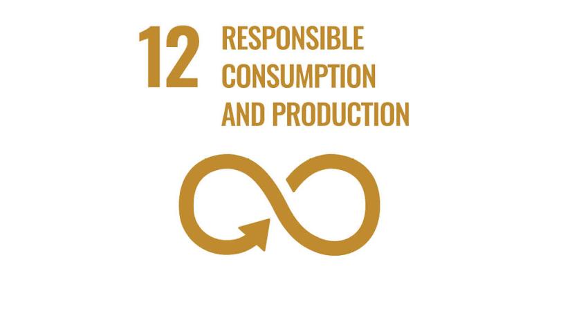 SDG 12 Responsible consumption and production