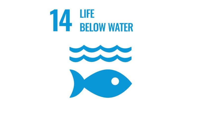 SDG 14 Life below water