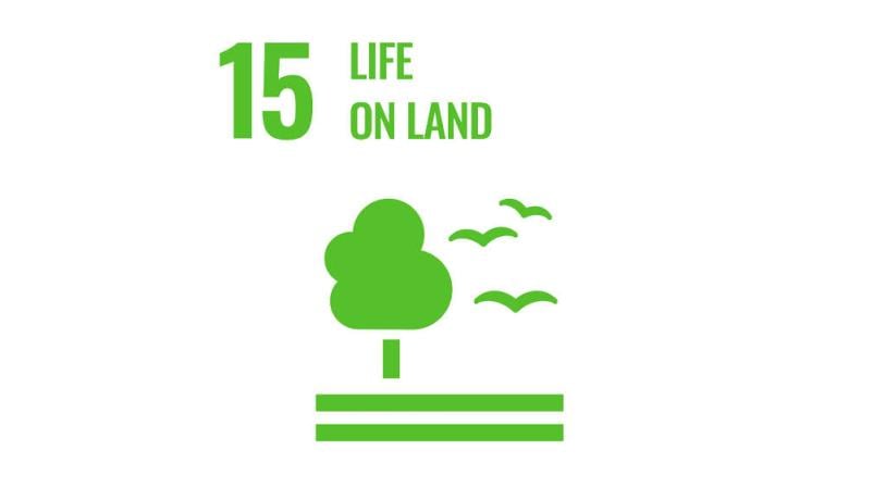 SDG 15 Life on land