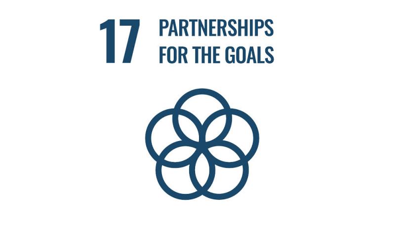 SDG 17 partnerships for the goals