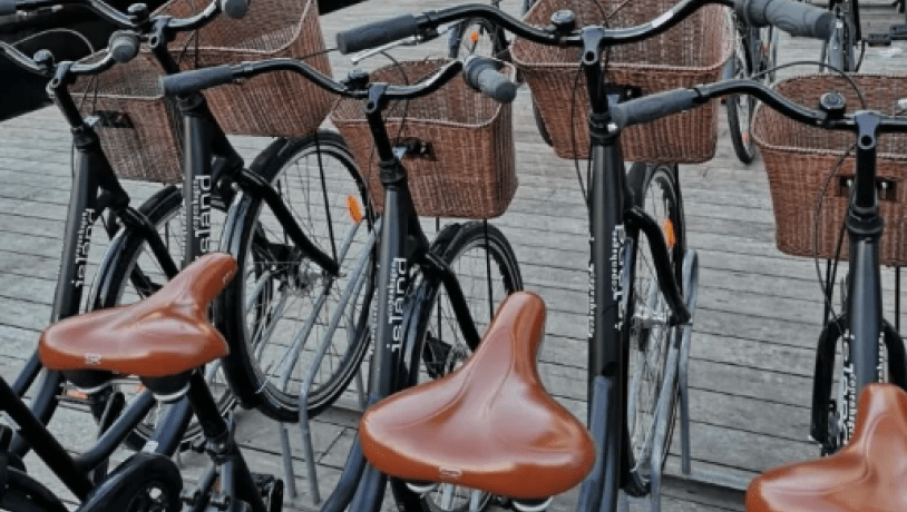 Copenhagen Bicycles