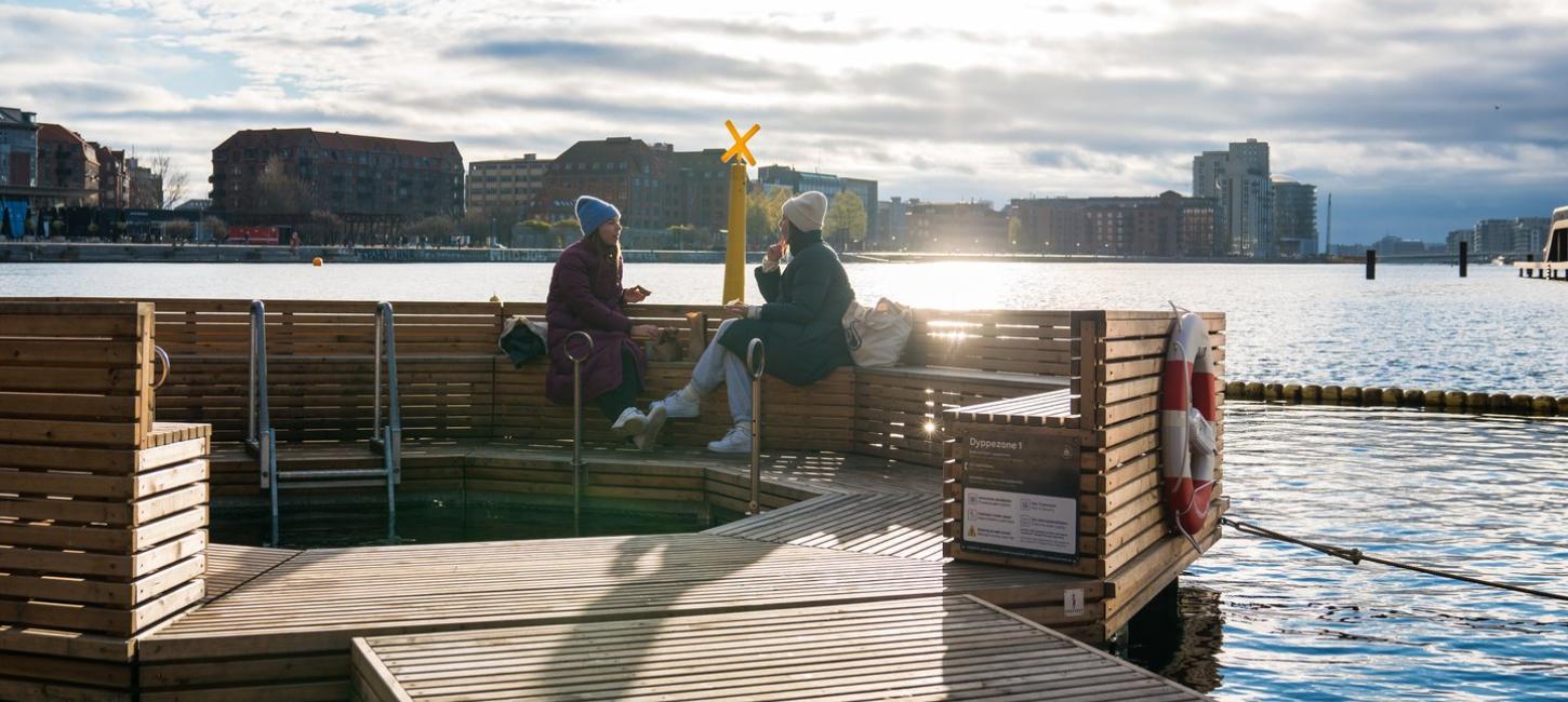 Kalvebod Bølge winter bathing