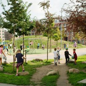 Cultigen Neighbourhood Level Solutions